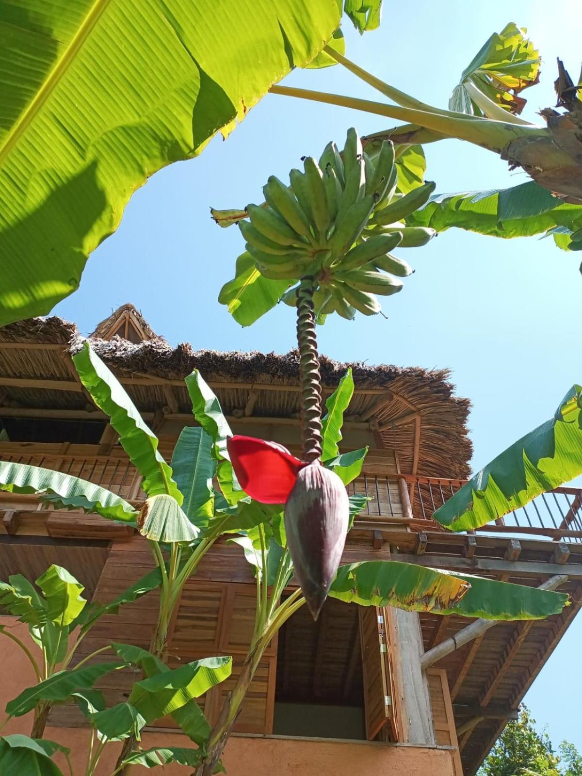Frana Lodge El Zaino Dış mekan fotoğraf
